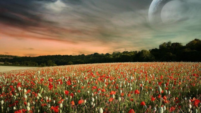 国家为什么强烈扫黄？